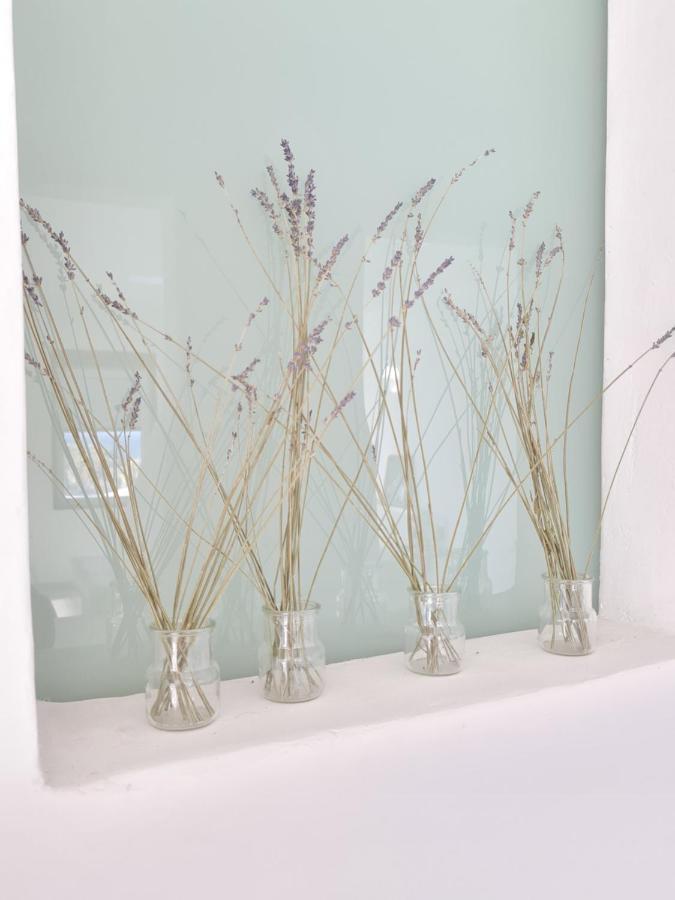 Do-Know Luxury Villas Mykonos Town 外观 照片